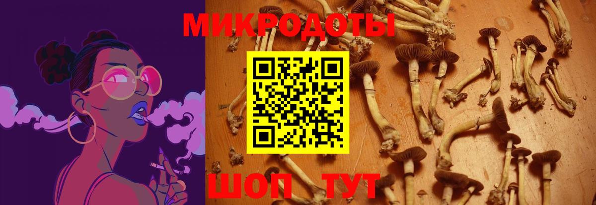 Псилоцибиновые грибы мицелий  Вход с VPN  Рассказово 
